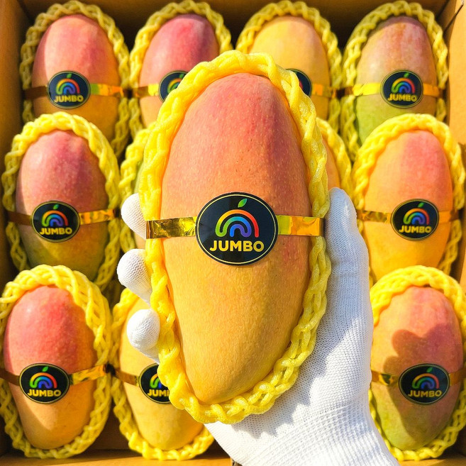 [최상급원물] 천상의맛 마하차녹 무지개 망고, 1박스, 4kg