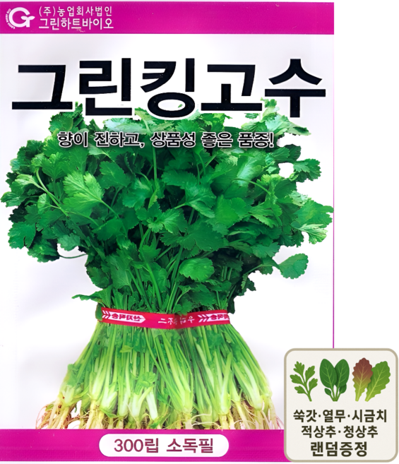 그린킹고수 씨앗 종자 코리앤더 향신채 텃밭채소 샐러드 채소 고수 씨앗 300립 그린하트
