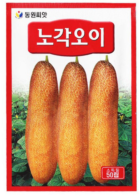 노각오이 씨앗 오이씨 50립, 1개
