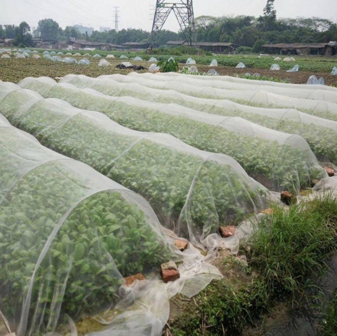 원예부자재 한냉사 해충방지망 농사용 배추벌레 보온 텃밭 그물, 1개