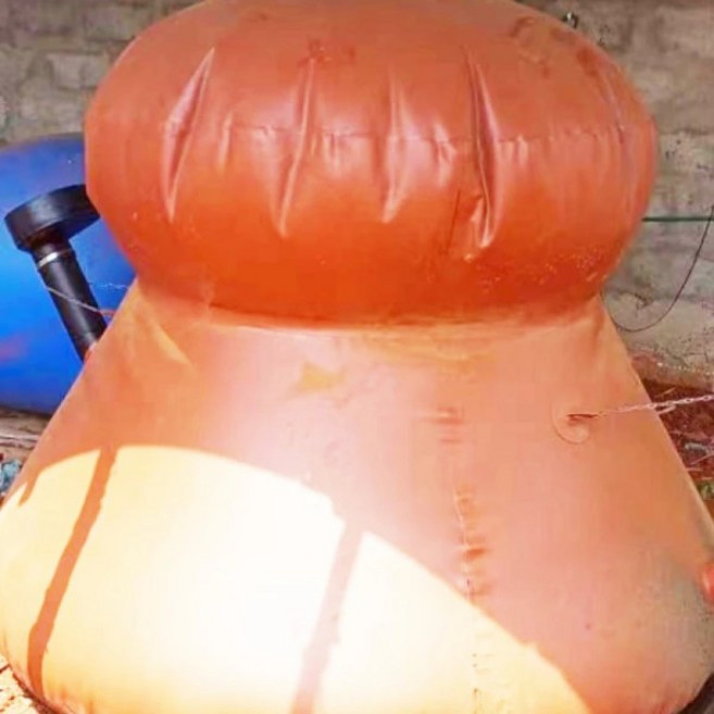 오가닉 바이오가스 시스템 소형 미니 가정용 바이오가스 생산 공장 소화기 반응기 바이오다이제스터, 1개