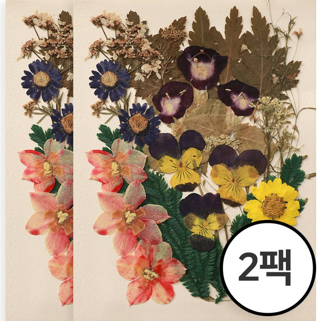 체크스토리 압화 대만압화 압화편지 청첩장액자 압화공예 압화수업 압화케이스, 컬러혼합