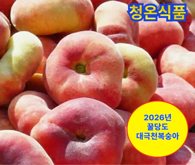 [인스타인기] 과즙폭발 대극천 반납작 복숭아, 1박스, 1kg