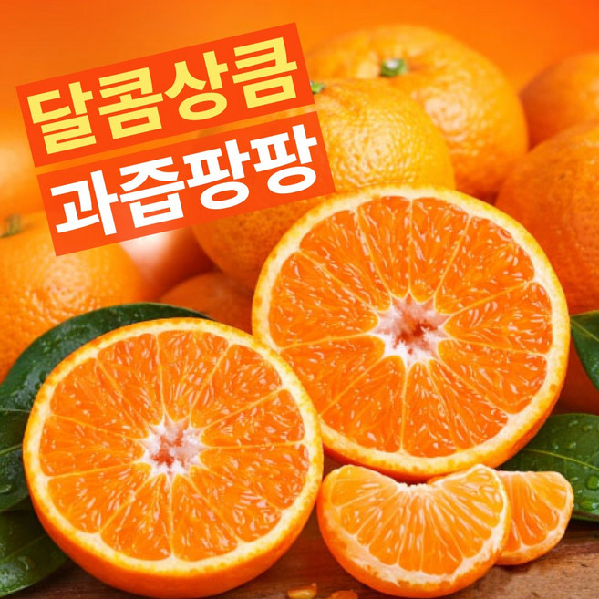 [타임특가] 고당도 캘리포니아 감귤 만다린, 1박스, 1kg