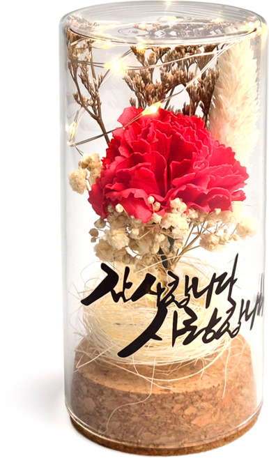 어버이날 카네이션 프리저브드 LED 미니 무드등 유리돔, 1개, 레드