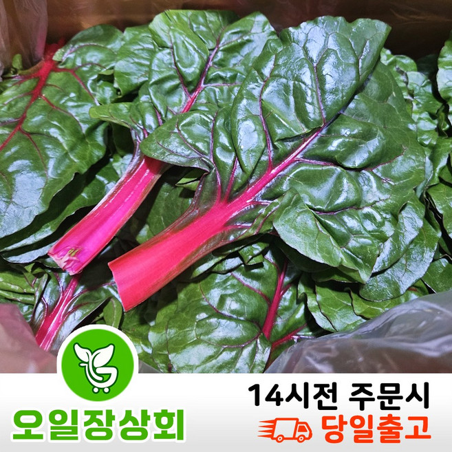 < 오일장 상회 > 국내산 적근대 2kg내외, 2kg, 1박스