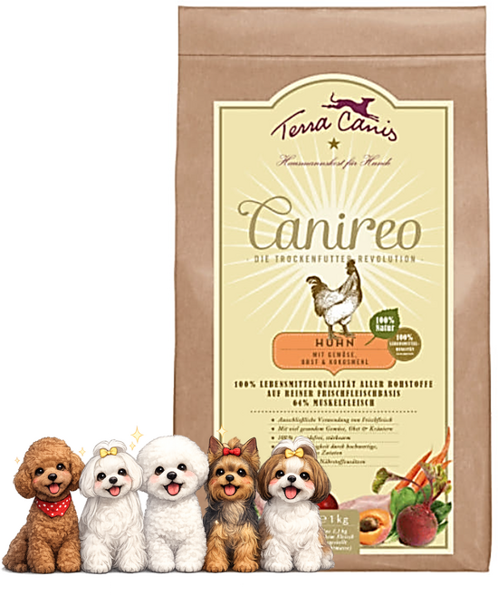 테라카니스 카니레오 치킨사료 2.5kg. (2027년9월) +간식2종, 2.5kg, 1개