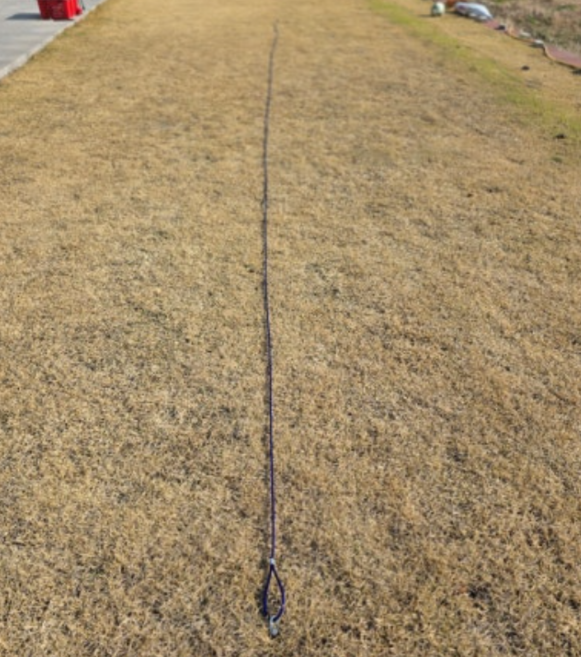 제이제이펫 반려견 러닝 와이어줄 10M 강아지 러너 운동줄 중형견 대형견, 파랑, 1개