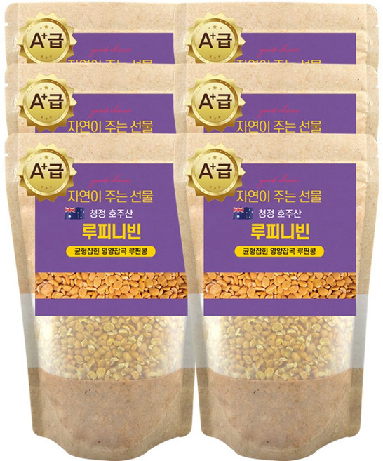 에코홀릭 루피니빈 호주산 루피니빈콩 루핀콩, 6개, 1kg