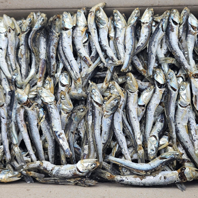 안녕푸드야 국산 건멸치 국물용 다시멸치, 1개, 1.5kg