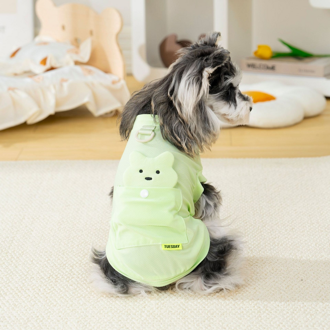 kangdarpet 3D 입체 곰돌이 강아지 쿨나시 여름 냉감 티셔츠 자외선 차단 산책복, 1개, 초록색