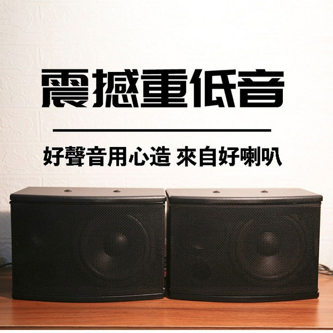 LDZS 專業卡拉OK卡包音響 6.5吋高功率被動式音響