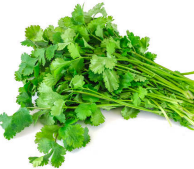 [굿피플] 고수 국내산고수 고수나물 고수잎, 1개, 1kg