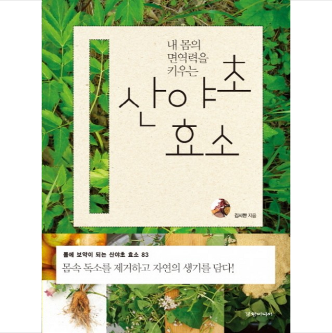 내 몸의 면역력을 키우는산야초 효소:몸에 보약이 되는 산야초 효소 83, 경향미디어, 김시한