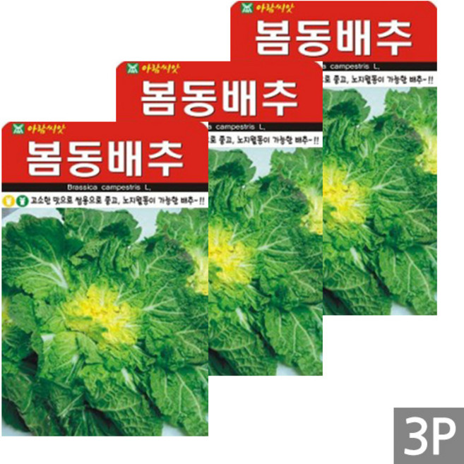 세인화분 국산 봄동 엇갈이 배추 소포장 - 배추 씨 씨앗, 3개