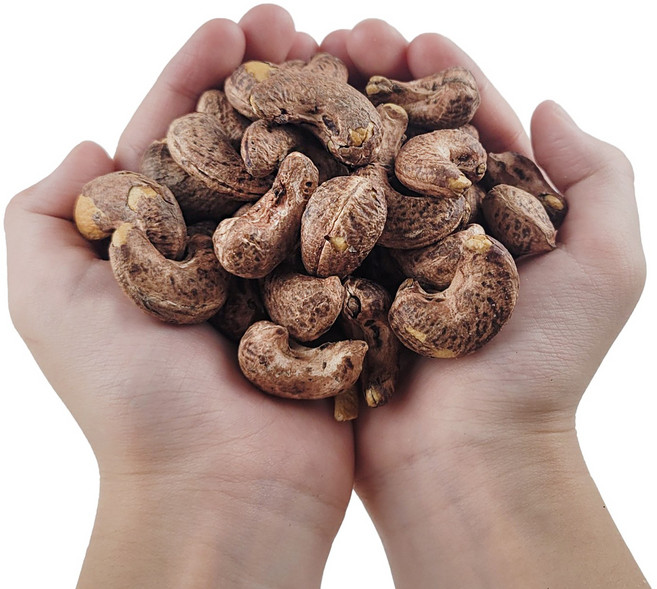 주5일 건강한 프리미엄 견과 구운 껍질 캐슈넛 저염, 500g, 1개