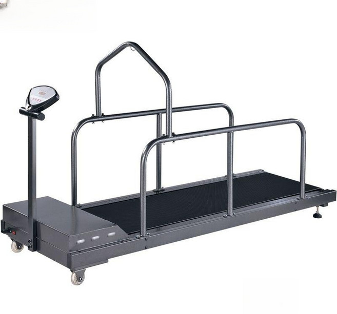 대형견 펫휠 런닝머신 저소음 스마트 도그런닝 운동기구 트레드밀 피트니스, 1개, C300