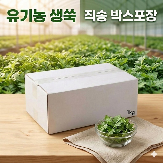 [당일수확] 국내산 함평 유기농 쑥 1kg 무농약 하우스 생쑥 햇쑥 제철 봄나물 [5월 28일 종료], 1박스