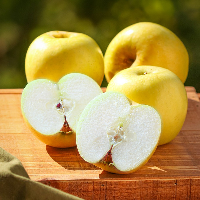 [300박스 한정수량] 백화점 납품용 시나노 골드 황금 사과, 1박스, 가정용 2kg 중소(10-13과)