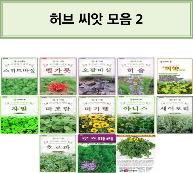 영미의정원 허브 씨앗/고수/스위트바실/페퍼민트/골든케모마일/타임/챠이브/방아/레몬밤/캣닙/카모마일/오레가노/보리지/딜/스위트바실/벨가못/오팔바실/히솝/회향/챠빌/마조람/마가렛, 2.다농-스위트바실 3, 1개