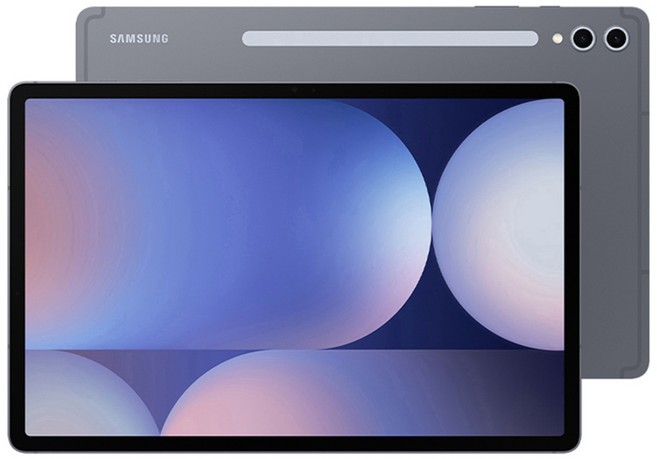 [삼성] 갤럭시탭 S10+ (WiFi) 256GB SM-X820 문스톤 그레이 SM-X820NZAAKOO, Wi-Fi