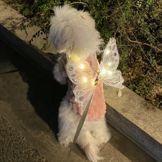 강아지 LED 천사 날개옷 코스튬 야간산책 엔젤 리본띠 고양이 반려, 5개, 블랙