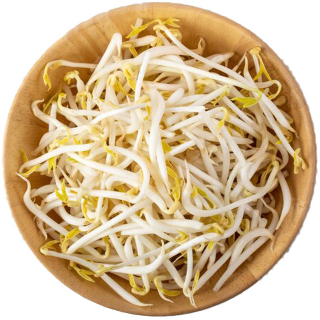 천연암반수로 키운 아삭아삭 숙주나물 1kg, 1개