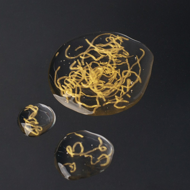 녹는 실 콜라겐 10g, 1개