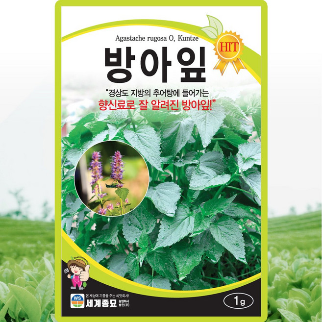 세계종묘 방아잎 씨앗 1g 배향초 방아잎씨 약초 종자, 2개