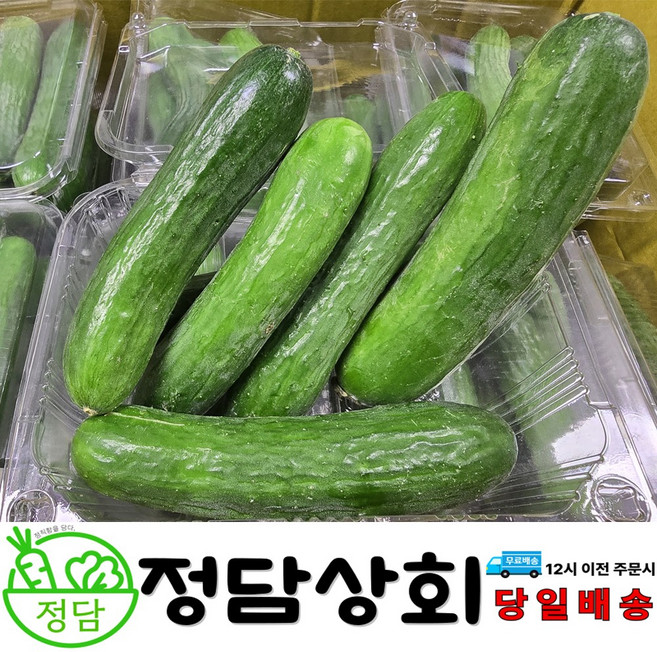 [ 정담상회 ] 국내산 미니오이 스낵오이 피클오이 꼬마오이 1kg 2kg 3kg 내외, 1박스