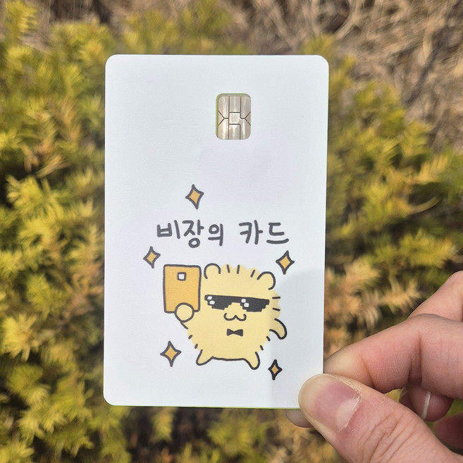 [썰치컴퍼니] 캐릭터 카드스티커 비장의 카드, 02. 비장의 카드, 1개, 정사각형(일반형)