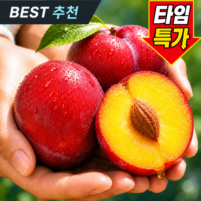 [주문즉시포장] 첫출하 최고당도 햇 자두, 1개, 1.5kg