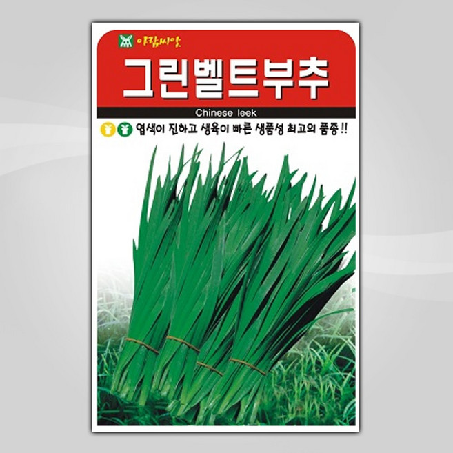슬로시 김장채소 씨앗 종자 배추 무 갓 양파 시금치 알타리 당근 대파, 1개