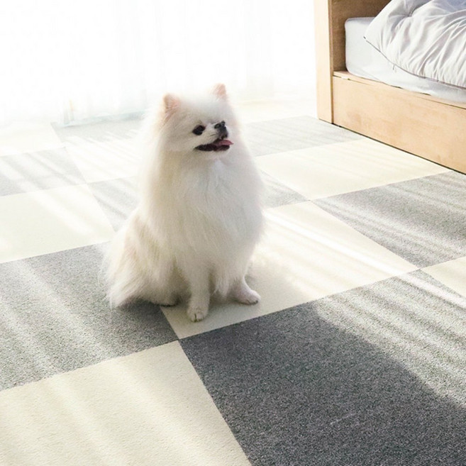 딩동펫 반려동물 미끄럼방지 블럭 카페트 2종 x 3p 세트 차콜 그레이 one size(5... 1개