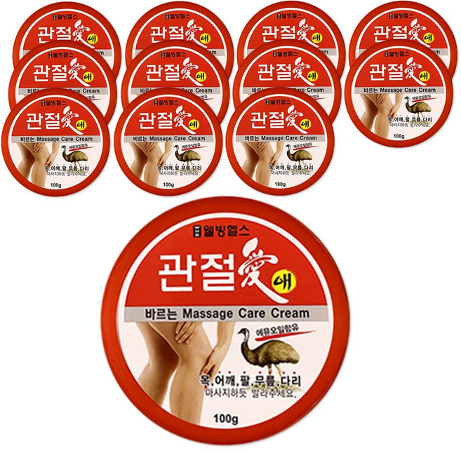 웰빙헬스 관절애 바르는 마사지크림 100g 12개