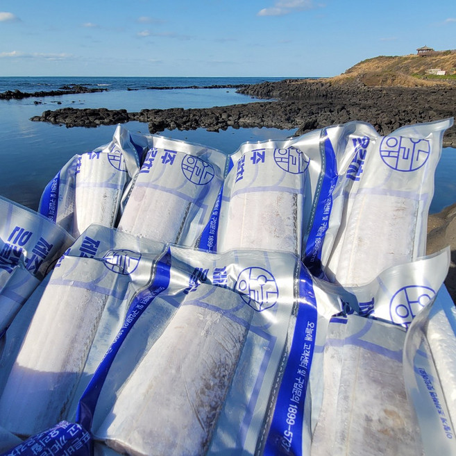 [오늘애] 제주 은갈치 프리미엄 갈치 제주 갈치살 제주직송, 2마리(600g이상)8팩, 1개