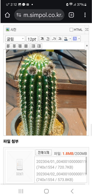 팅커벨 북두각15cm, 1개