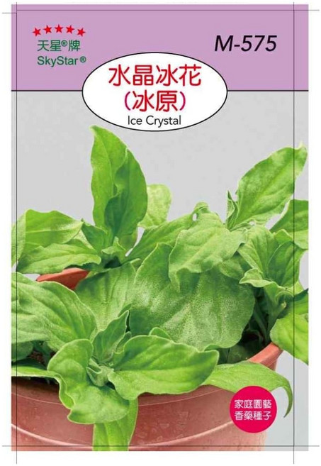天星牌 水晶冰花種子 M-575 家庭園藝 香藥種子, 1個