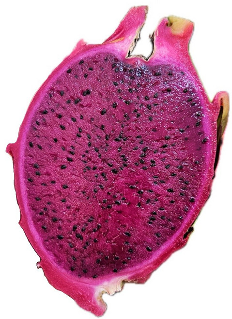 용과 백용과 흰용과 드래곤후르츠 레드용과 적용과 베트남산 5KG 10과 8과 5과 3과, 레드용과 3과, 1개