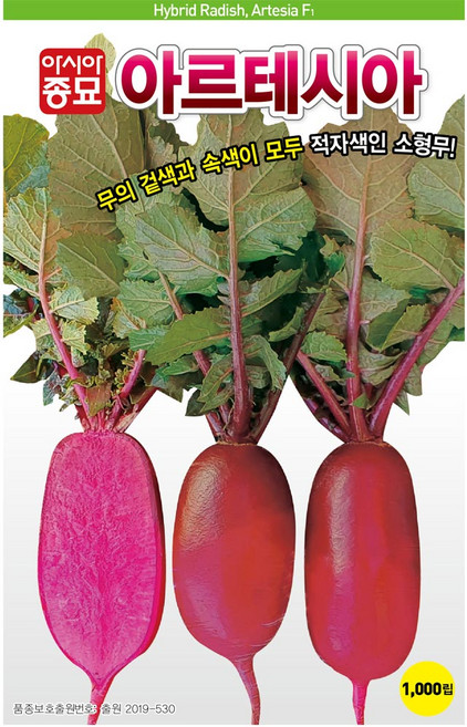 아시아종묘 씨앗 알타리무 아르테시아 1000립, 1개