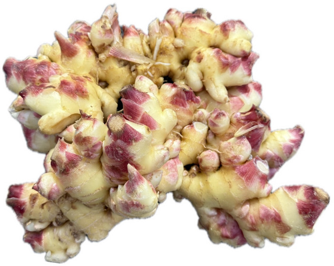 국내산 햇생강 최상품 영주 봉화 안동, 1박스, 10kg