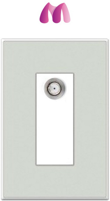 틸인스 화이트그레이 CATV 3방