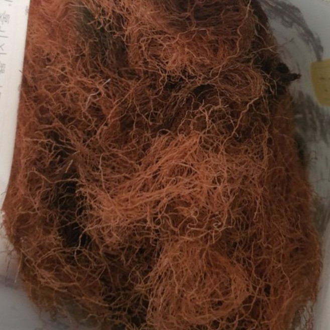 쌉쌀하고 깔끔한 풍미 국내산 말린 건조 옥발 옥수수수염, 1세트, 200g