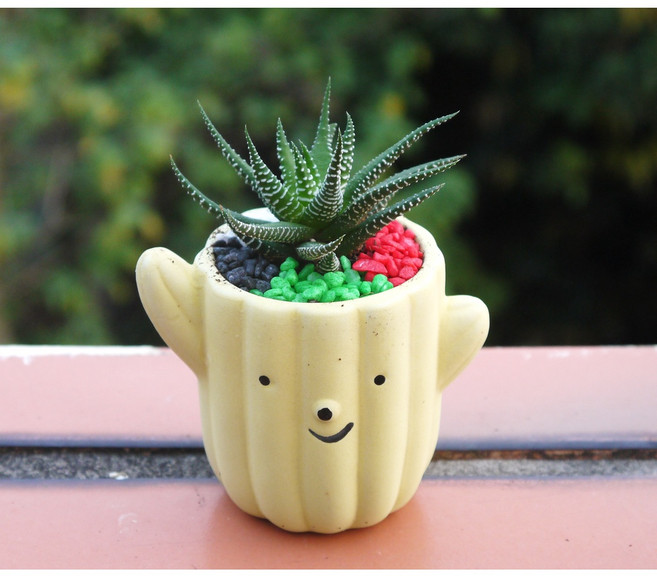 仙人掌造型盆栽 辦公桌療癒擺飾, 1個, 五行小鮮肉-黃盆, 黃