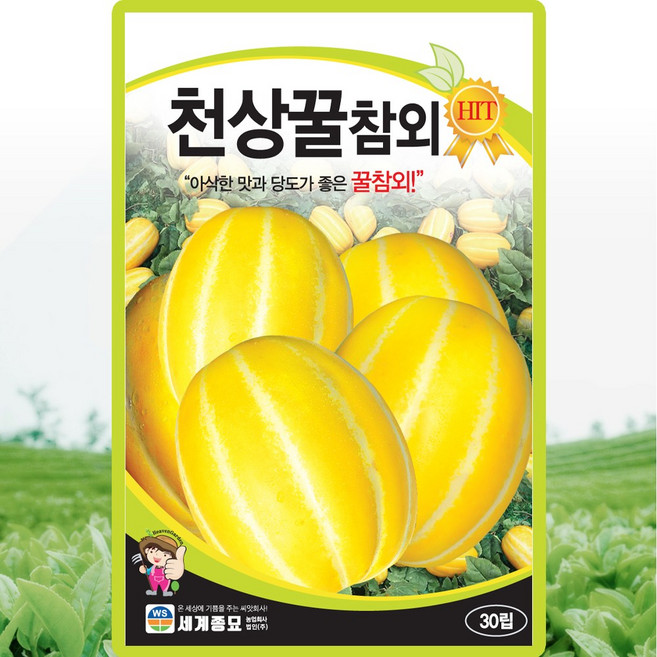 세계종묘 천상꿀참외 씨앗 30립 당도 좋은 참외씨 종자