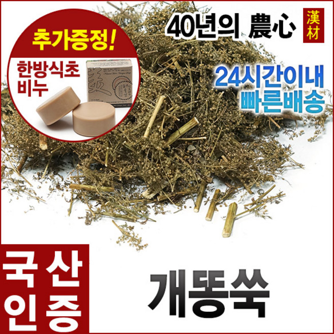 자애인 국산 개똥쑥 600g 개똥쑥차 건조 경북영천, 1개