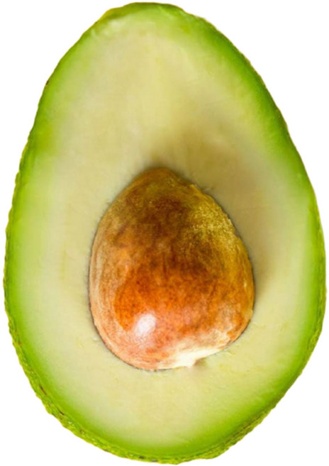 라라로코 프리미엄 아보카도, 5개, 중과 180g내외