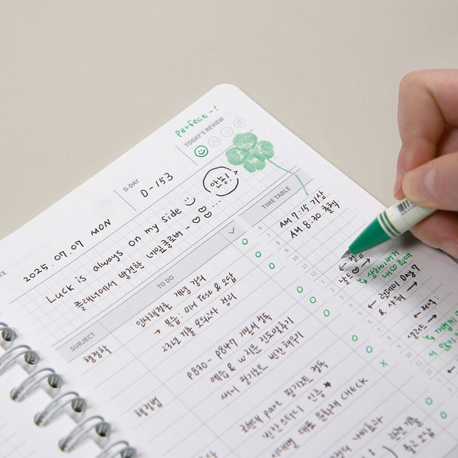 6개월 스터디 플래너 학습 다이어리 노트 공부 계획표 온라인 인강 스케쥴러, 딥그린플래너