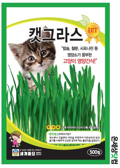 캣그라스 500립/ 새싹씨앗 새싹키우기 수경재배 새싹귀리씨앗, 1개