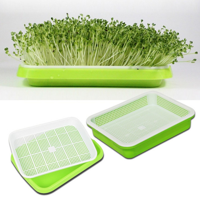 사각 플라스틱 모종판 수경 재배 새싹 트레이, 그린, 1개
